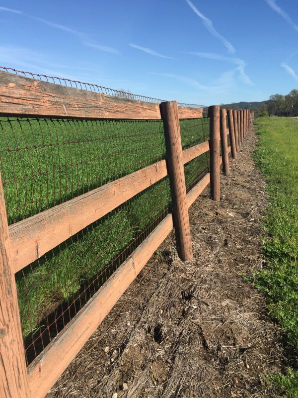 Farm Ranch Fence