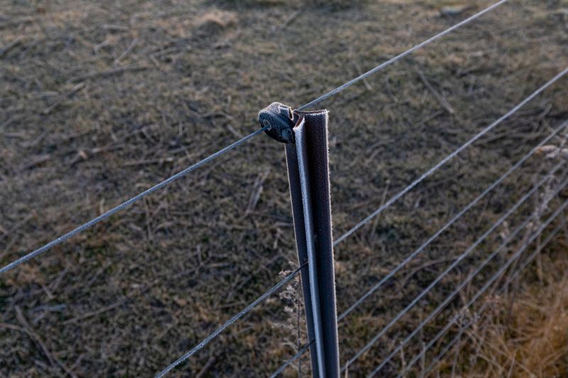 Affordable Metal Fencing Solutions — cost of